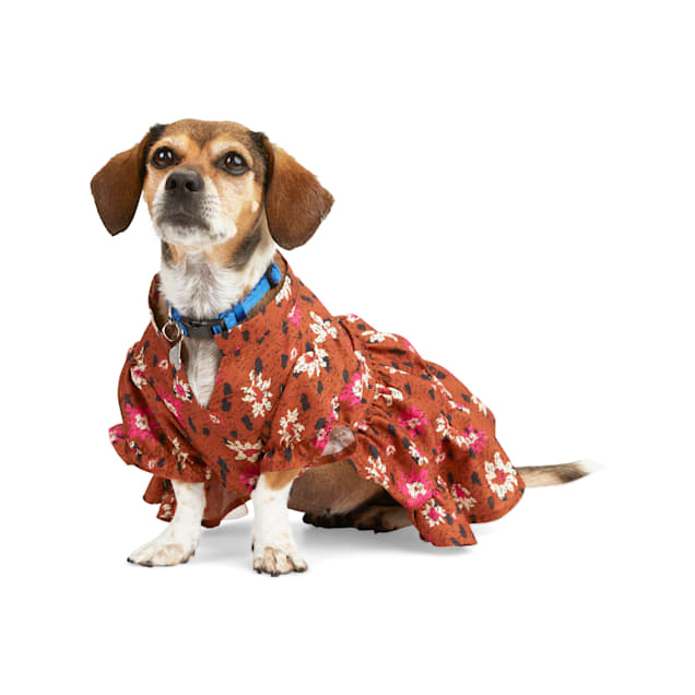 Petco dresses 2025