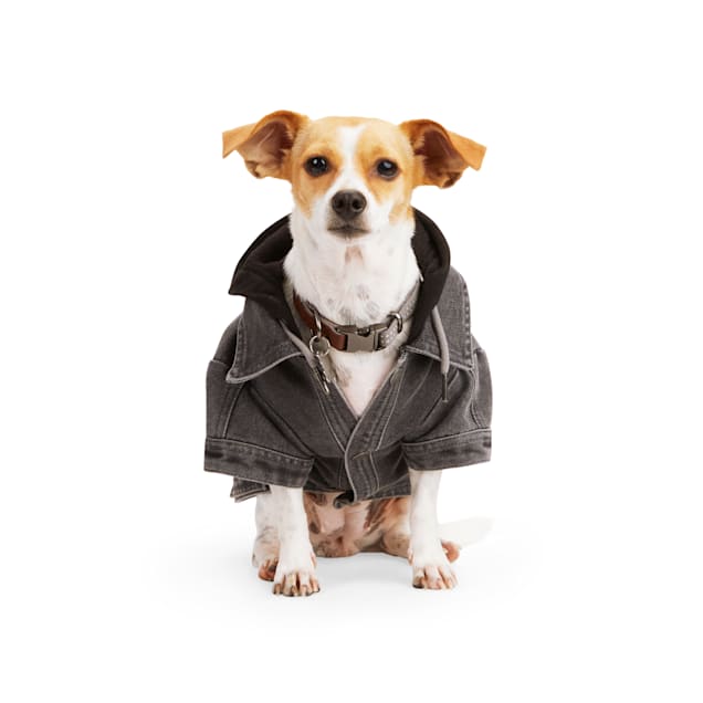 Petco jacket clearance