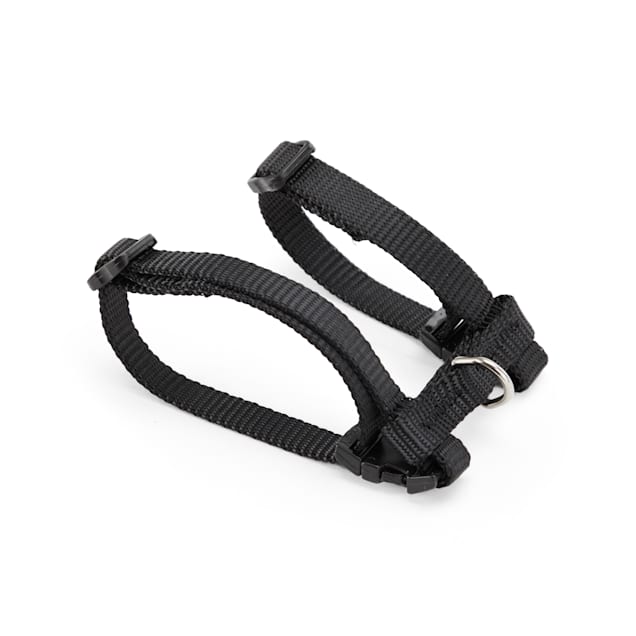 Ferret harness petco discount