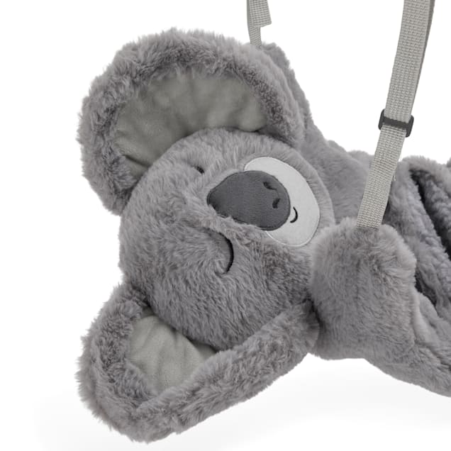 EveryYay Hangin Around Koala Bear Ferret Hammock 19 L x 14 W x 3.5 H
