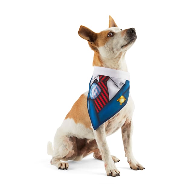 Superman dog bandana clearance
