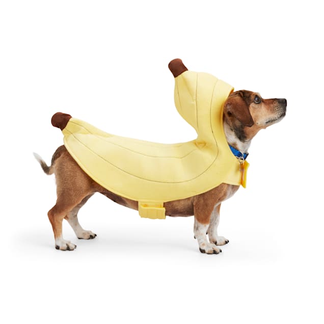 Bootique Banana Split Pet Costume, XX-Small | Petco