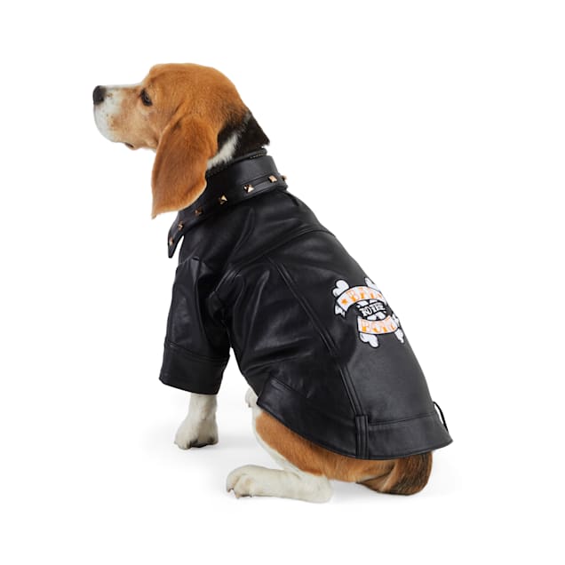 petco dog jacket