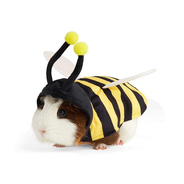 Bootique Buzzn' Bee Guinea Pig Costume - Carousel image #1