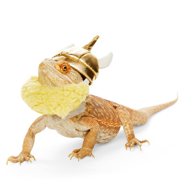 Bootique Victorious Viking Bearded Dragon Headpiece - Carousel image #1