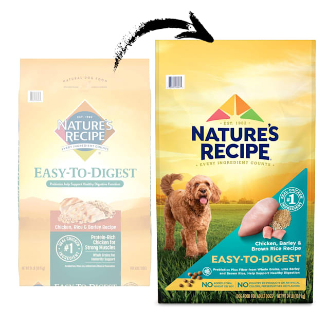 Nature's recipe grain free easy to digest dry dog food best sale