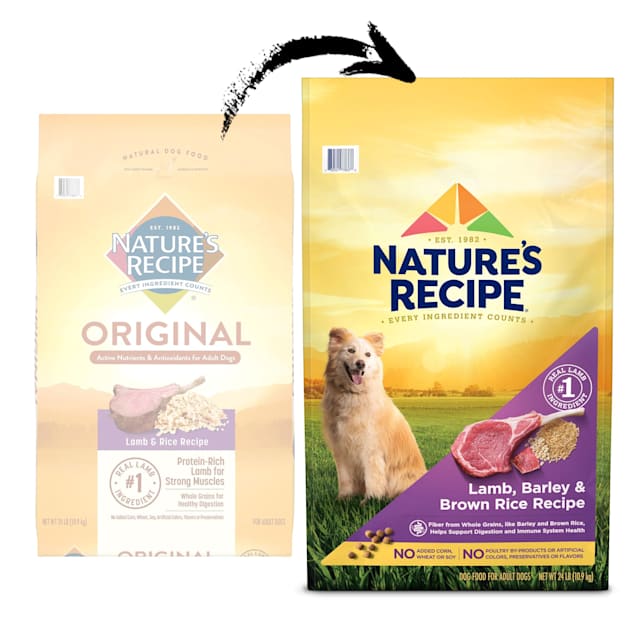 Nature's Recipe Original Lamb & Rice Recipe Adult Dry Dog Food, 24 lbs. - Carousel image #1