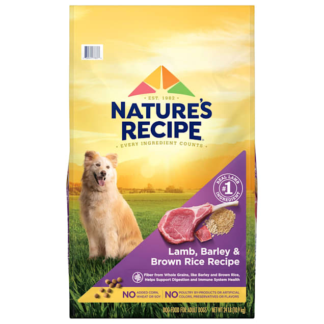 Nature's Recipe Original Lamb & Rice Recipe Adult Dry Dog Food, 24 lbs. - Carousel image #1