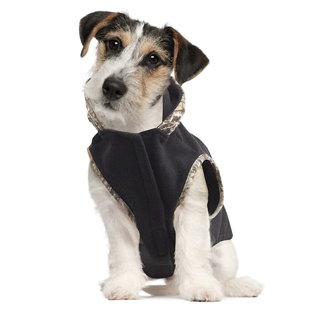 Hunting dog hot sale apparel