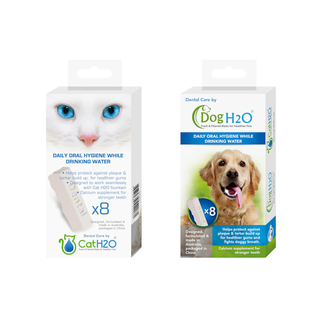 Water supplement new arrivals for dogs teeth