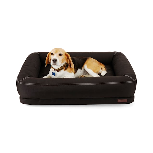 Reddy Indoor/Outdoor Dog Bed, 32" L X 24" W, Black Petco