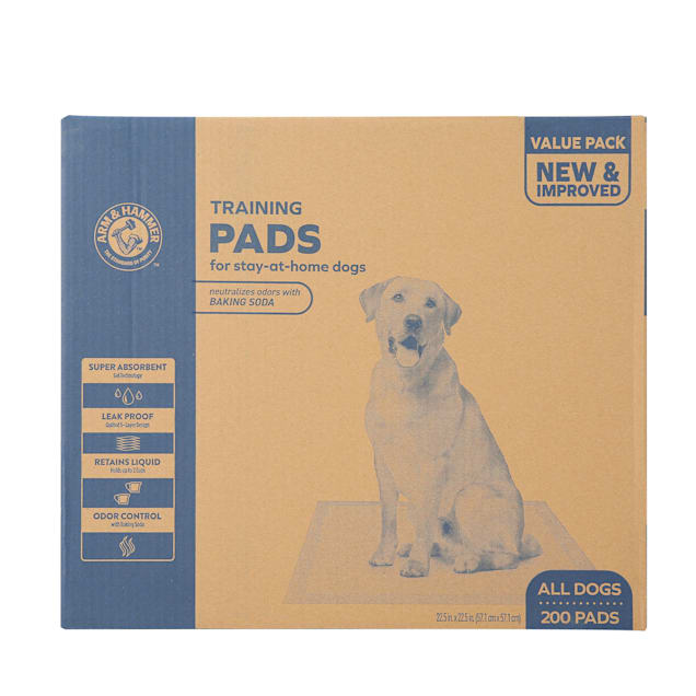 Grass pee pads for dogs petsmart online