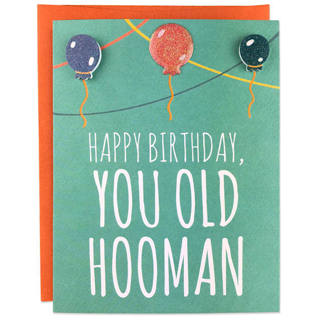 Moose & Pig Old Hooman Dog Birthday Card - Carousel image #1