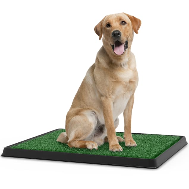 TAOAT Fake Grass Pee For Dog Artificial Grass Rug Pad For
