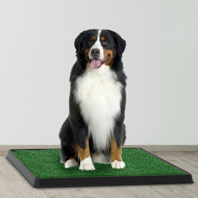 Artificial grass toilet mat for dogs hotsell