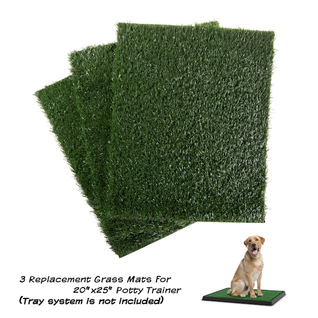 Grass pee pad petco shop
