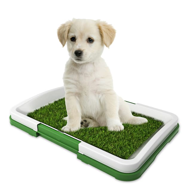 Pet Adobe Indoor Puppy Potty Trainer Artificial Grass Mat