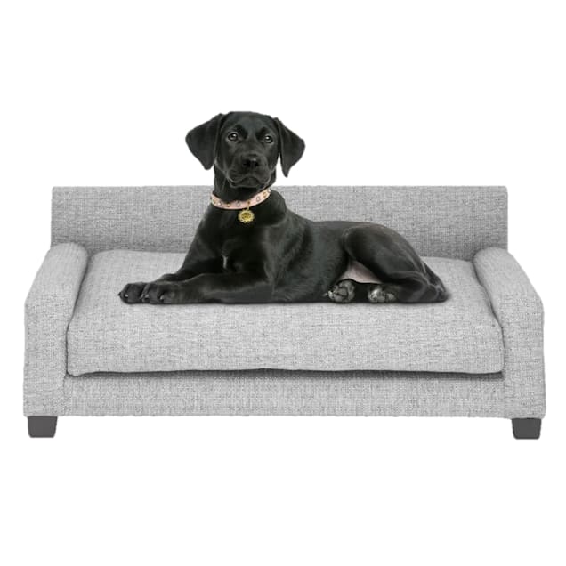Petco dog couch outlet
