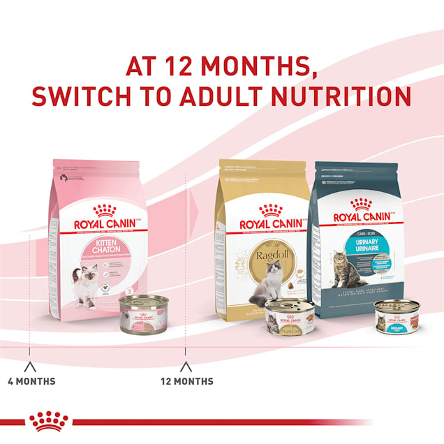 Royal Canin Feline Health Nutrition Kitten Loaf in Sauce Canned Cat Food 5.1 oz. Case of 24