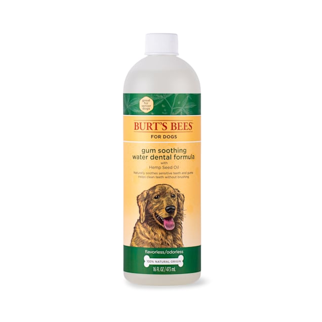 Burt's Bees Care Plus+ Gum Soothing Water Dental Additive with Hemp Seed Oil for Dogs, 16 fl. oz. - Carousel image #1