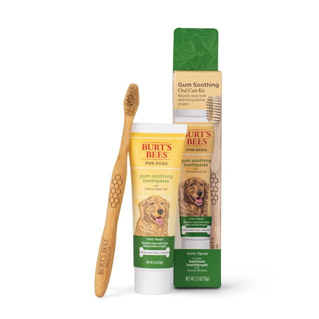 Burt's Bees Care Plus+ Gum Soothing Toothpaste with Hemp Seed Oil and