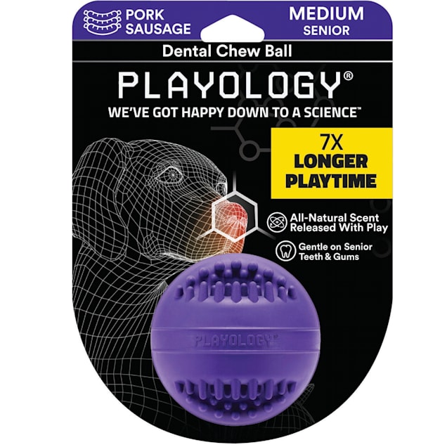 Playology Dental Chew Ball Dog Toy Pork Sausage Medium