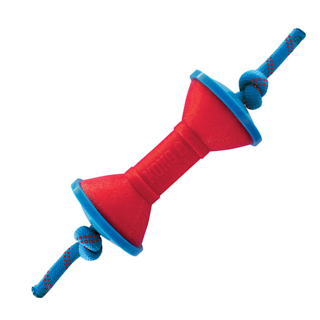 Kong Wobbler - Champion Dog Products