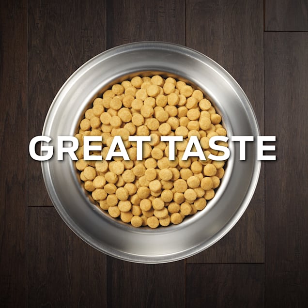 Purina kidney function dog food clearance