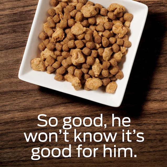 Purina Pro Plan Veterinary Diets OM Select Blend Overweight