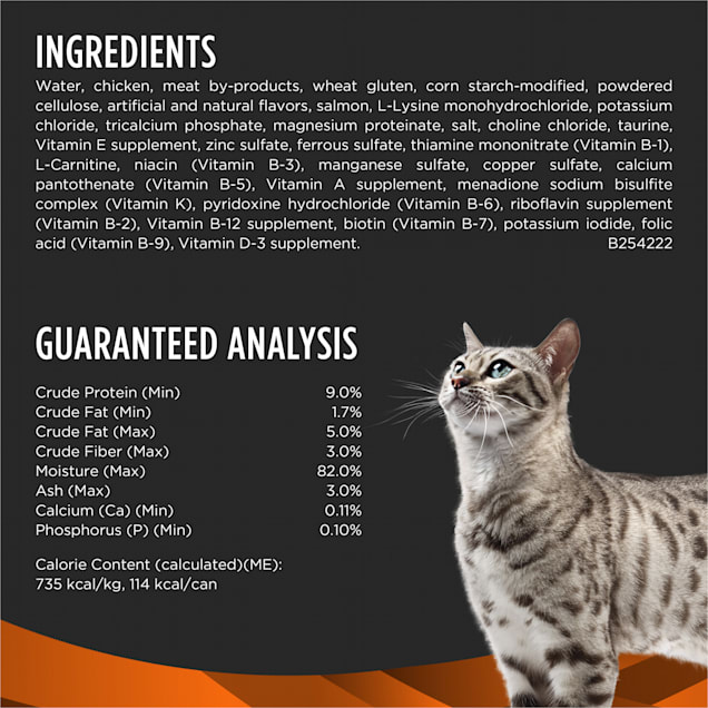 Cat food plan discount