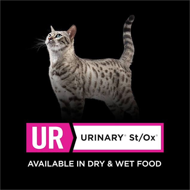 Pro plan ur cat food best sale