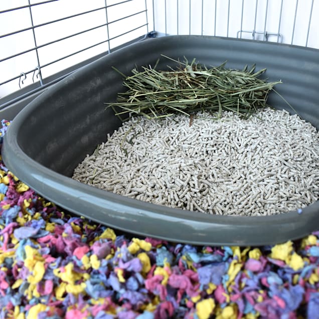 Petco rabbit litter discount