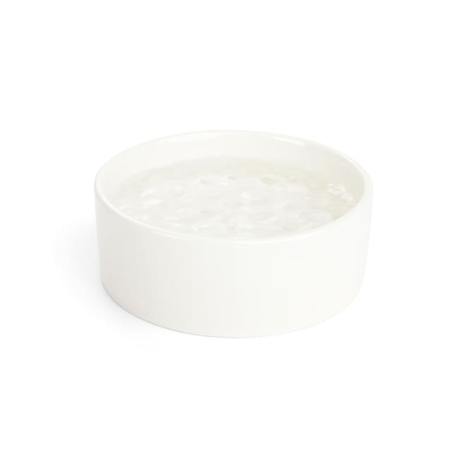 White ceramic dog bowls wholesale 2025