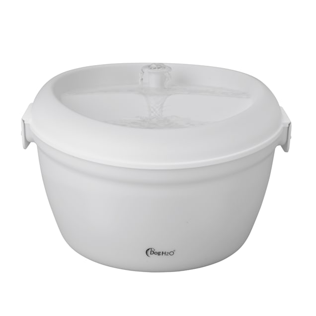 Dog h20 water top fountain