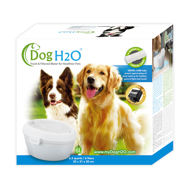 Dog h20 top pet fountain