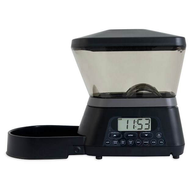 Automatic dog feeder petco shop