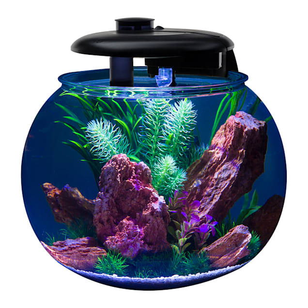 Penn-Plax Aquasphere 360 Polycarbonate Bowl-Shaped Aquarium 24 Gallon