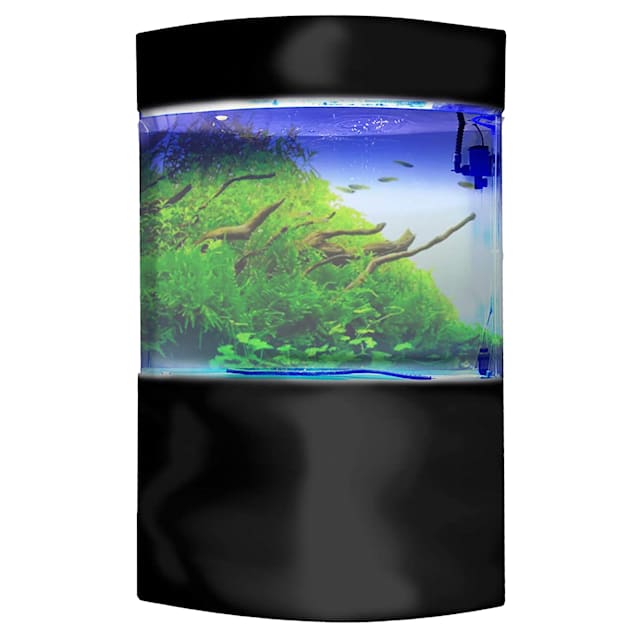 Penn 58 Gallons Front Acrylic Aquarium Cylinder Tank, L 15.2" W X 60.6" H Petco