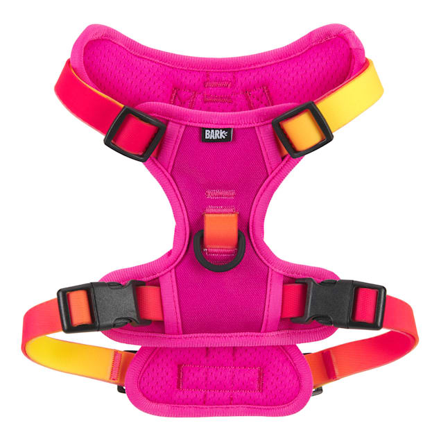 Ombre dog harness Clearance