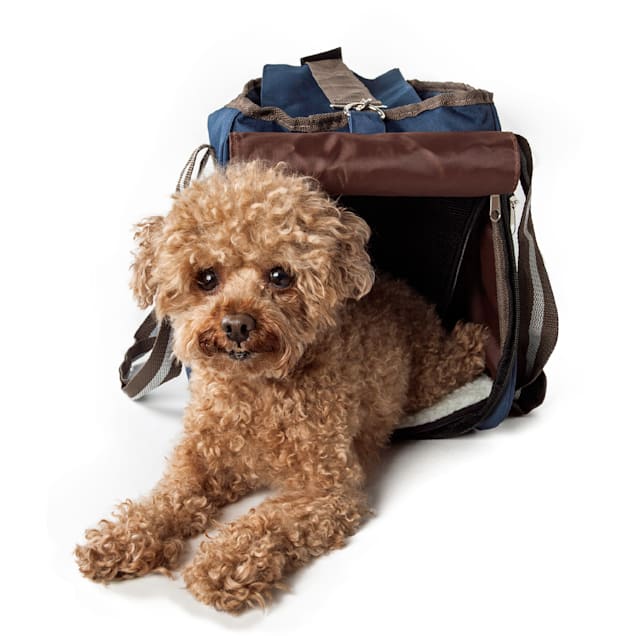 Canvas pet hot sale carrier