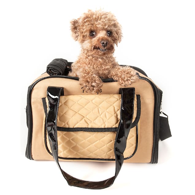 Airline Approved Pet Carrier