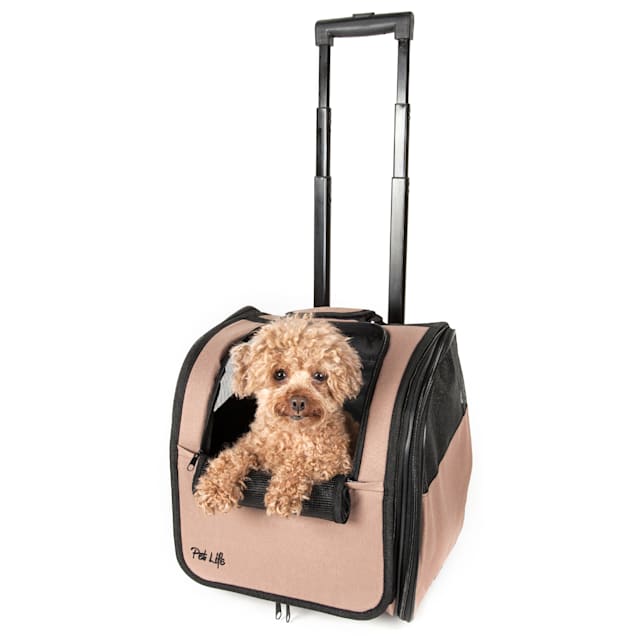 Pet Carrier With Wheels, Pet Carrier Airline Approved For Small Dogs & Cats  Puppy Up To 14 Lbs Dog Carrier, Cat Carrier Underseat Safe And Easy Travel