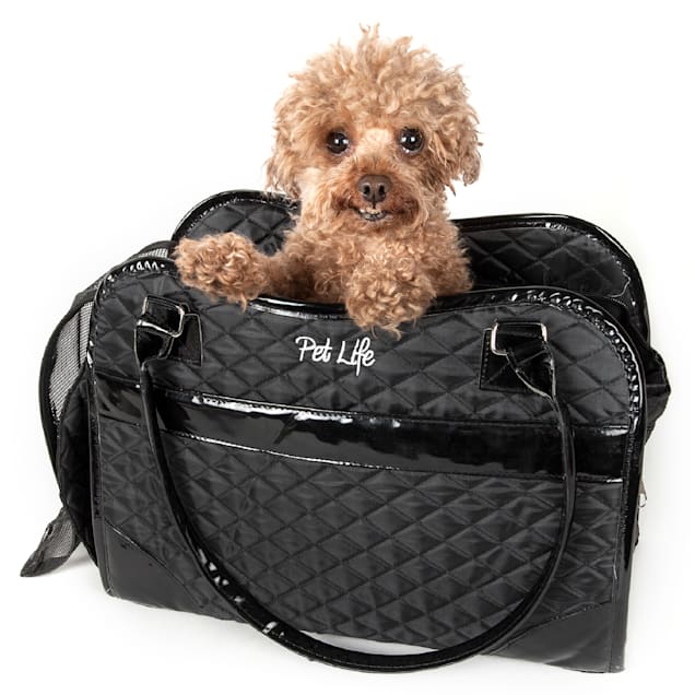 It's Time to Bring Luxury Fashion to Your Pet and Your Home — The