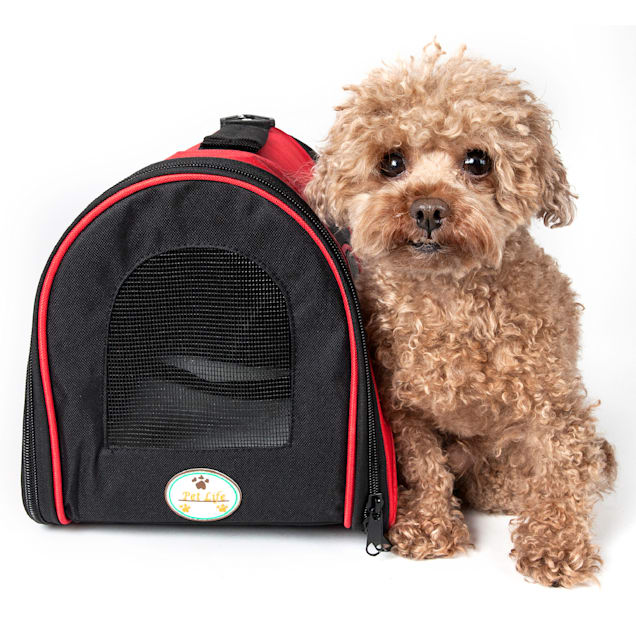 Pet carrier in store online