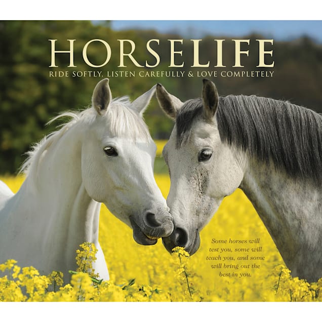Willow Creek Press Horselife Book - Carousel image #1