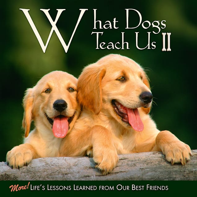 Willow Creek Press What Dogs Teach Us II Book - Carousel image #1