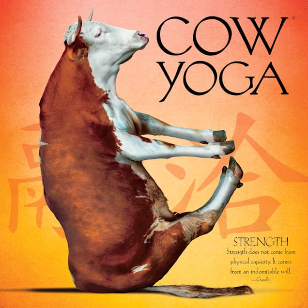 Willow Creek Press Cow Yoga Book - Carousel image #1