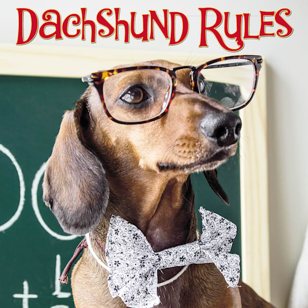 Willow Creek Press Dachshund Rules Book - Carousel image #1