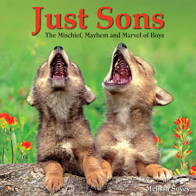 Willow Creek Press Just Sons Book - Carousel image #1