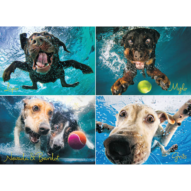 Willow Creek Press Underwater Dogs: Splash 1000-Piece Puzzle - Carousel image #1